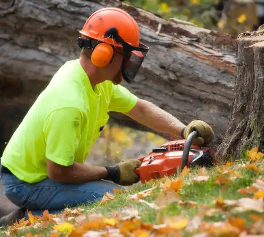 tree services Kaplan